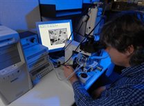 The Mineralogy, Petrology and Biostratigraphy Laboratory at the British Geological Survey